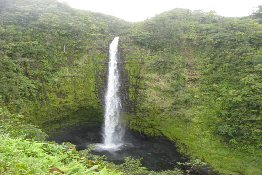 ../image/akaka falls 4.jpg